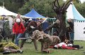IMG_9527