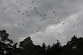 IMG_9684