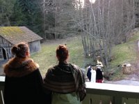 IMG 4841